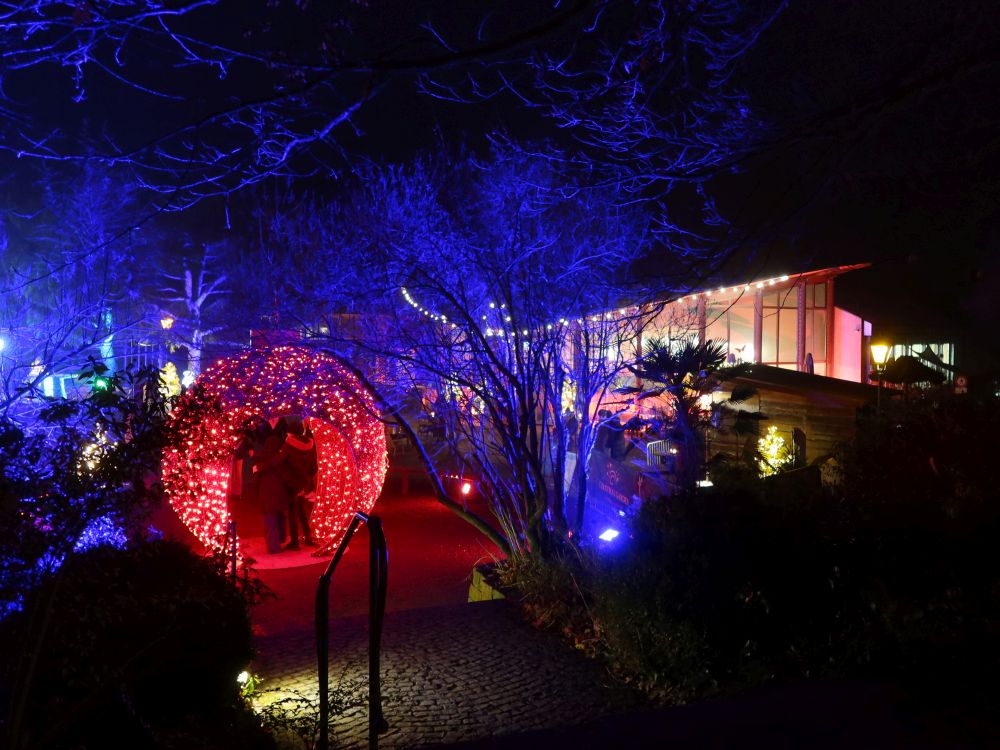 Weihnachtskugel beim Schmetterlingshaus