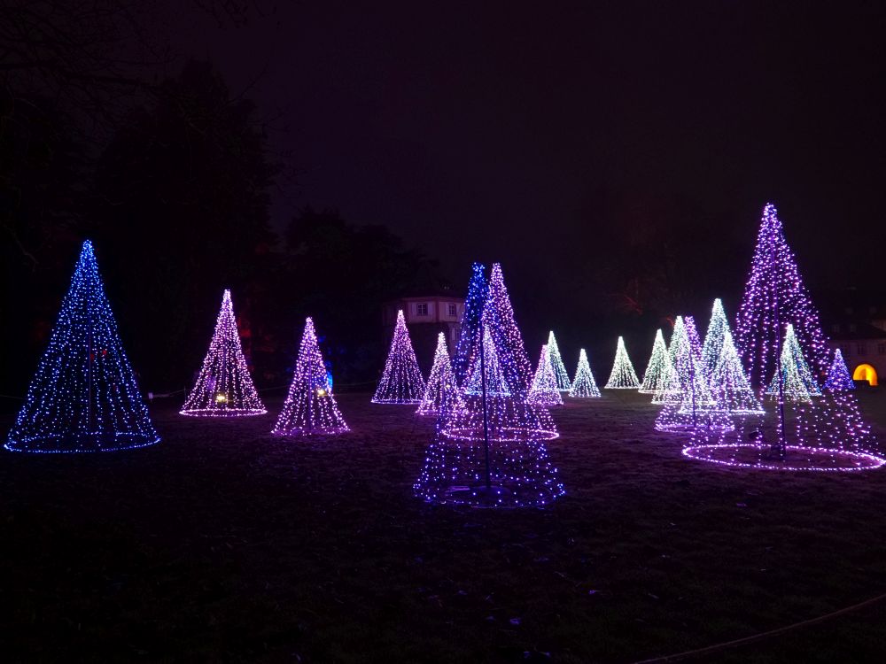 Funkelnder Lichterwald