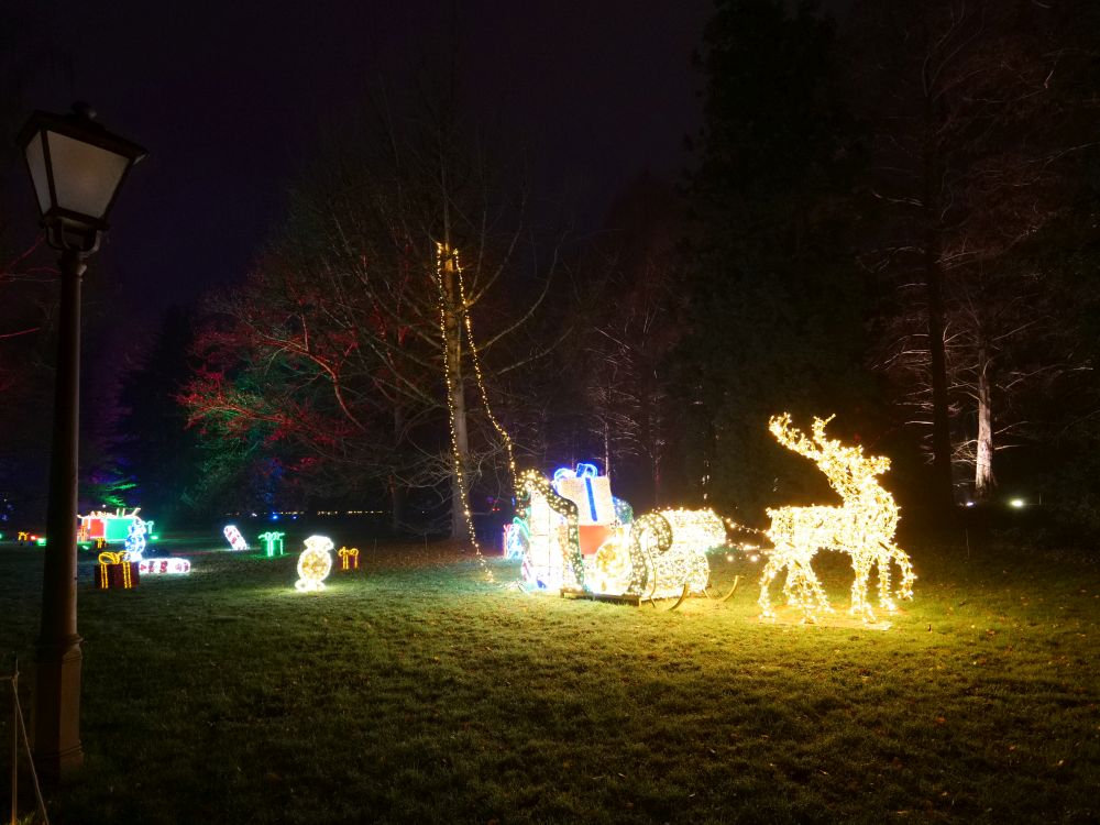 Hirsch mit Schlitten