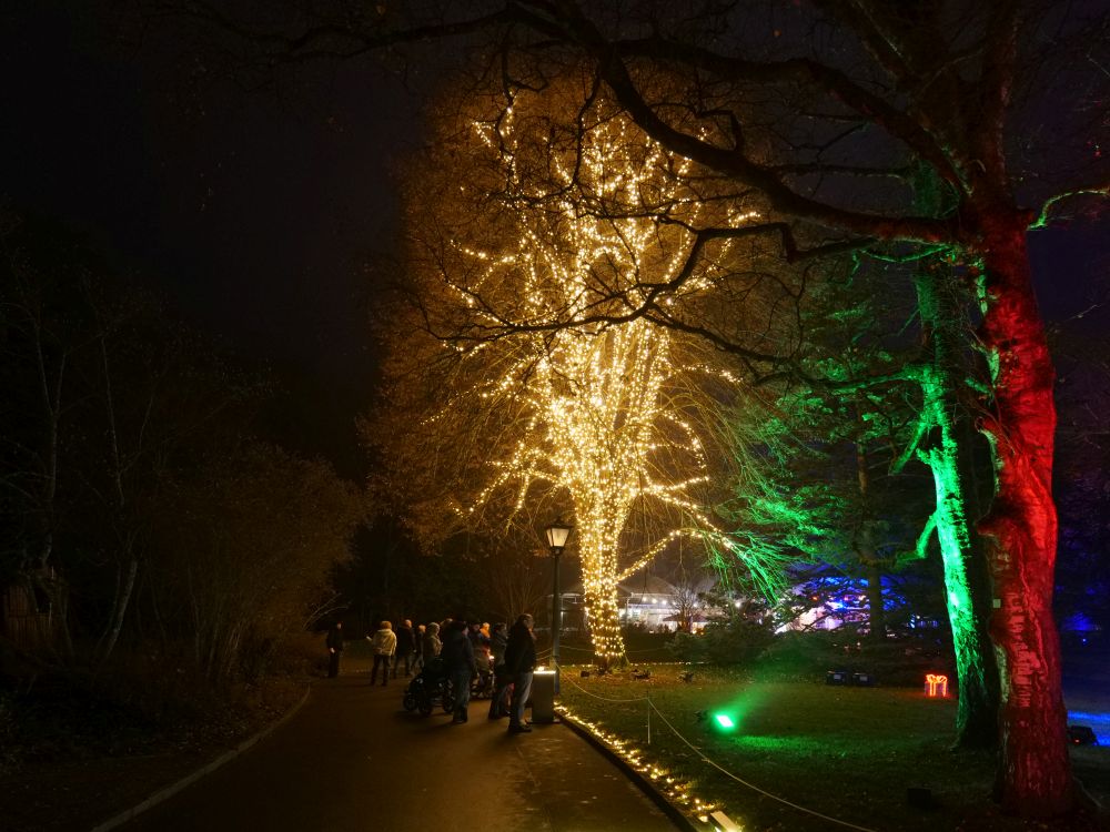 Eleganz im Lichterglanz