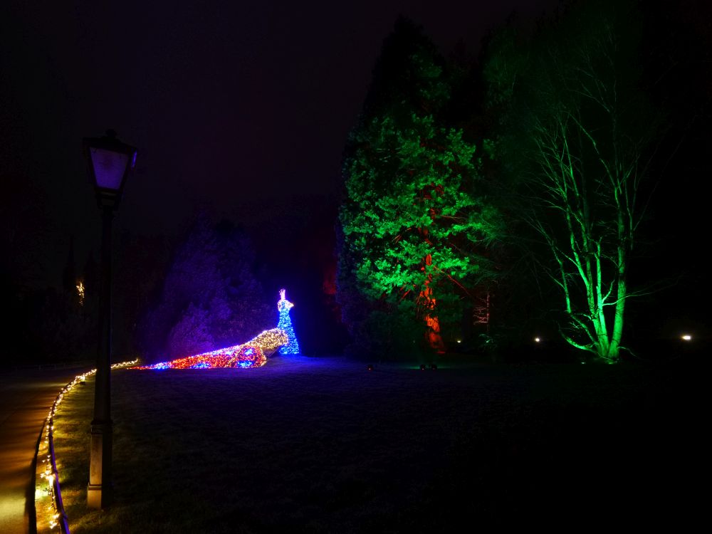 Schmuckes Federkleid