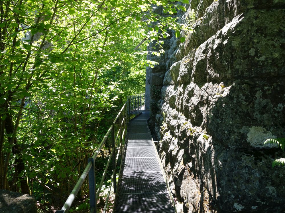 Neumüliweg