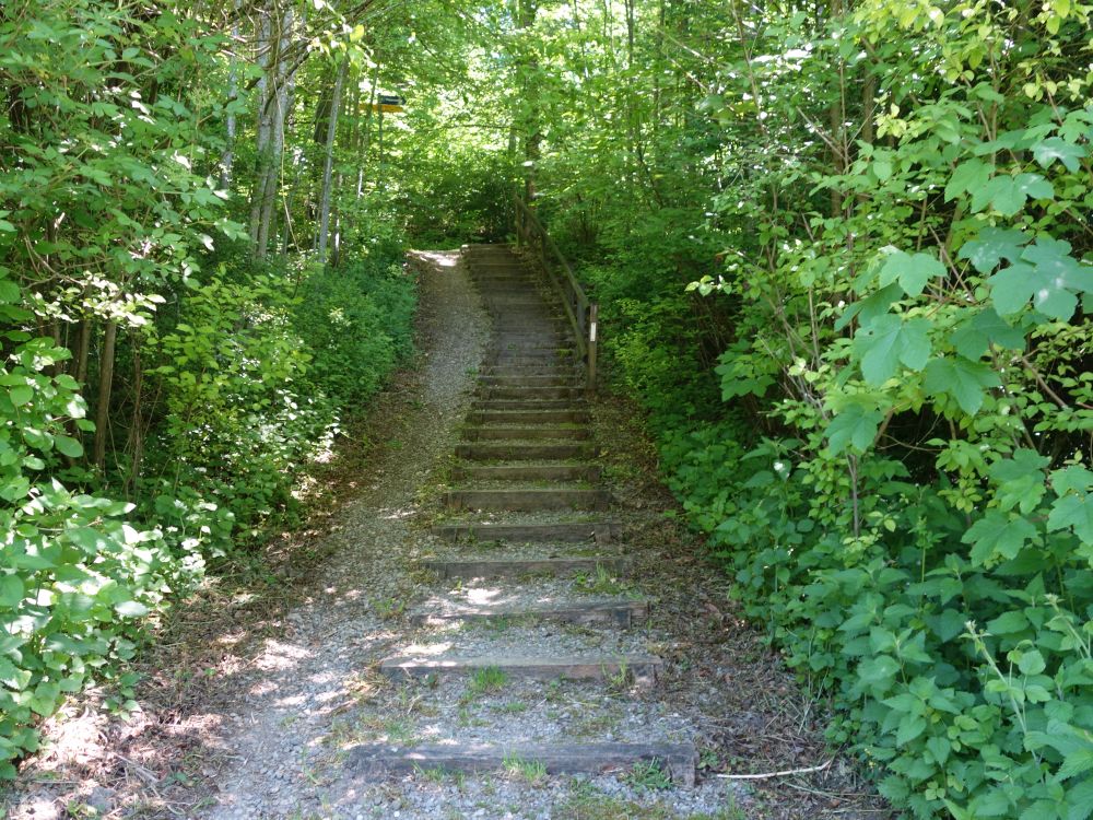 Treppe zur Bergstrasse