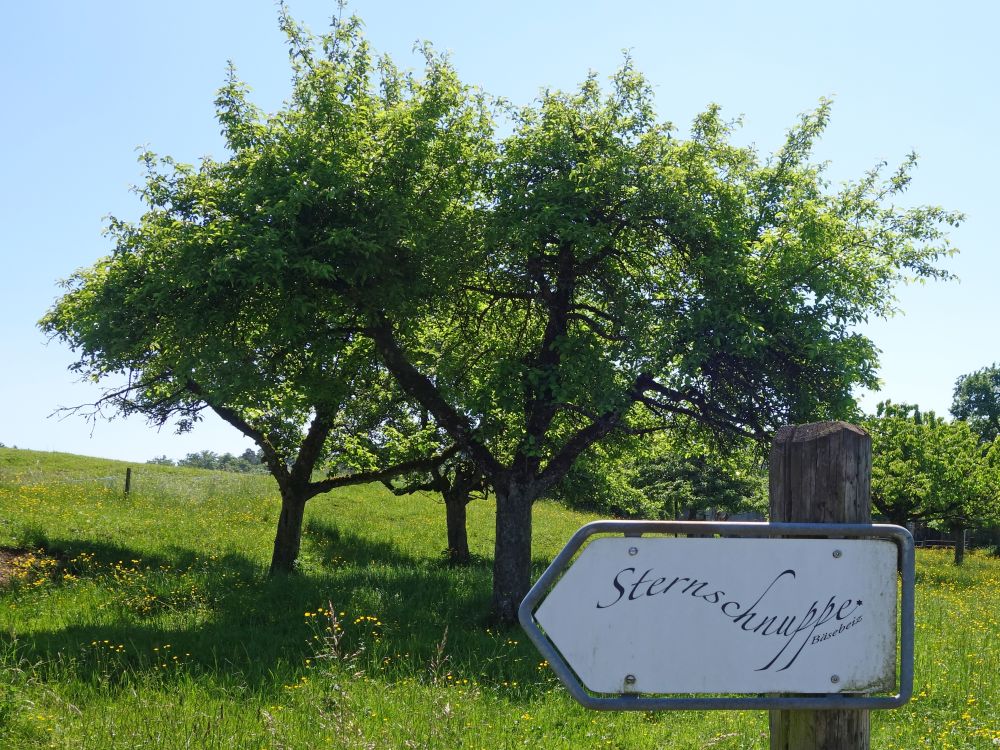 Wegweiser
