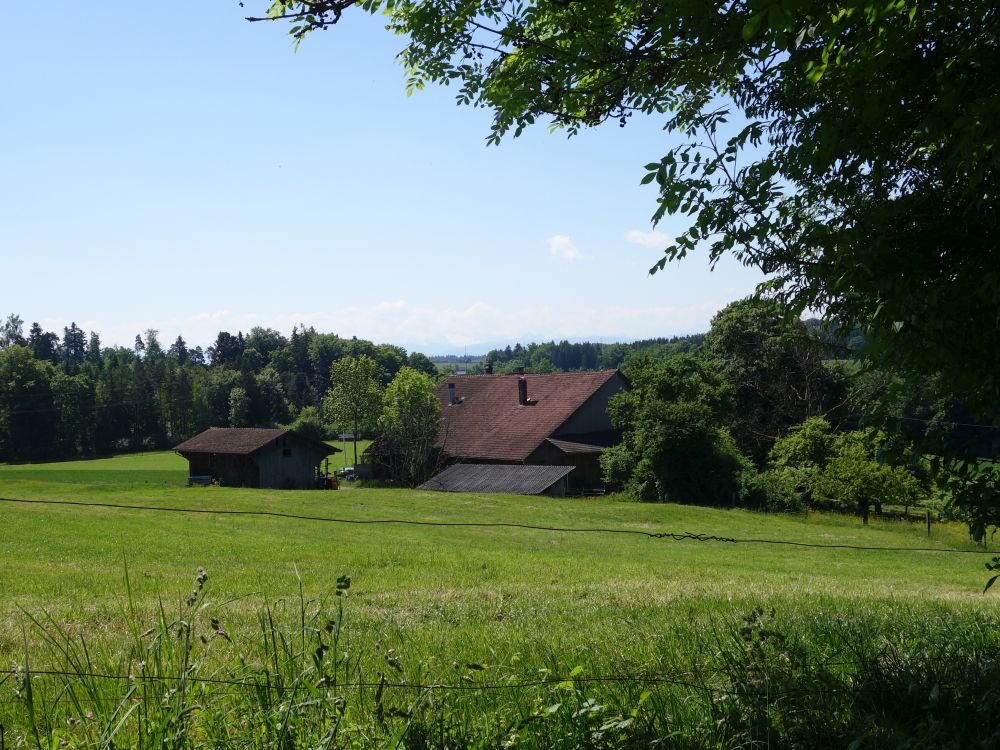 Birchhof
