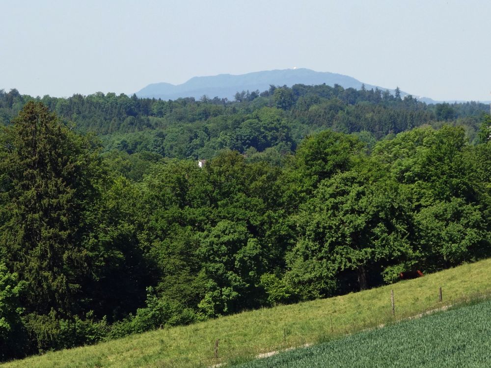 Blick Richtung Lägeren