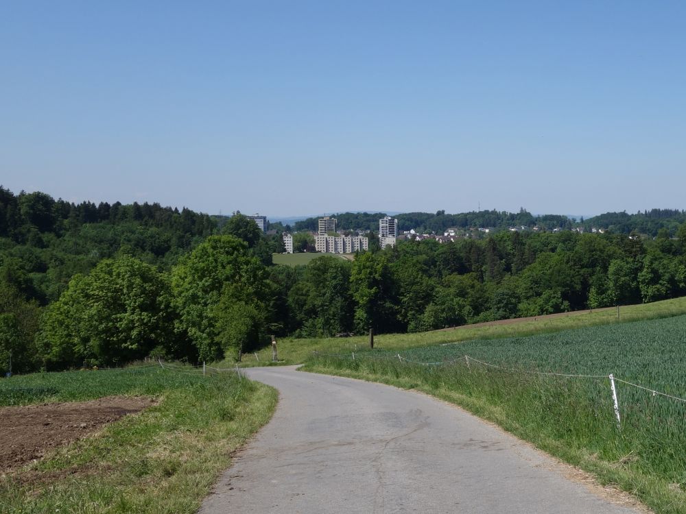 Blick Richtung Effretikon