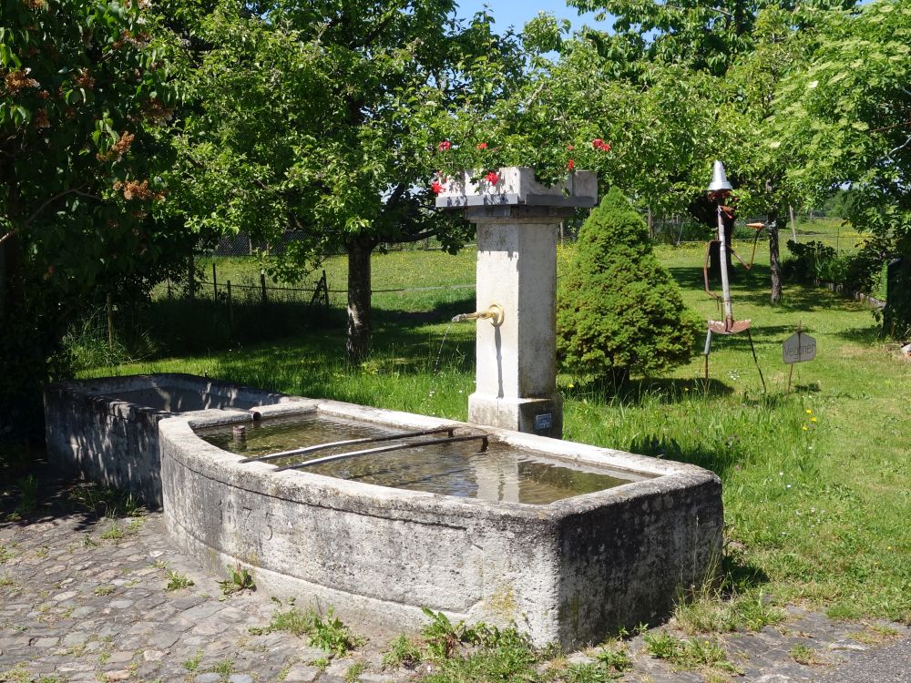 Brunnen in Ottikon