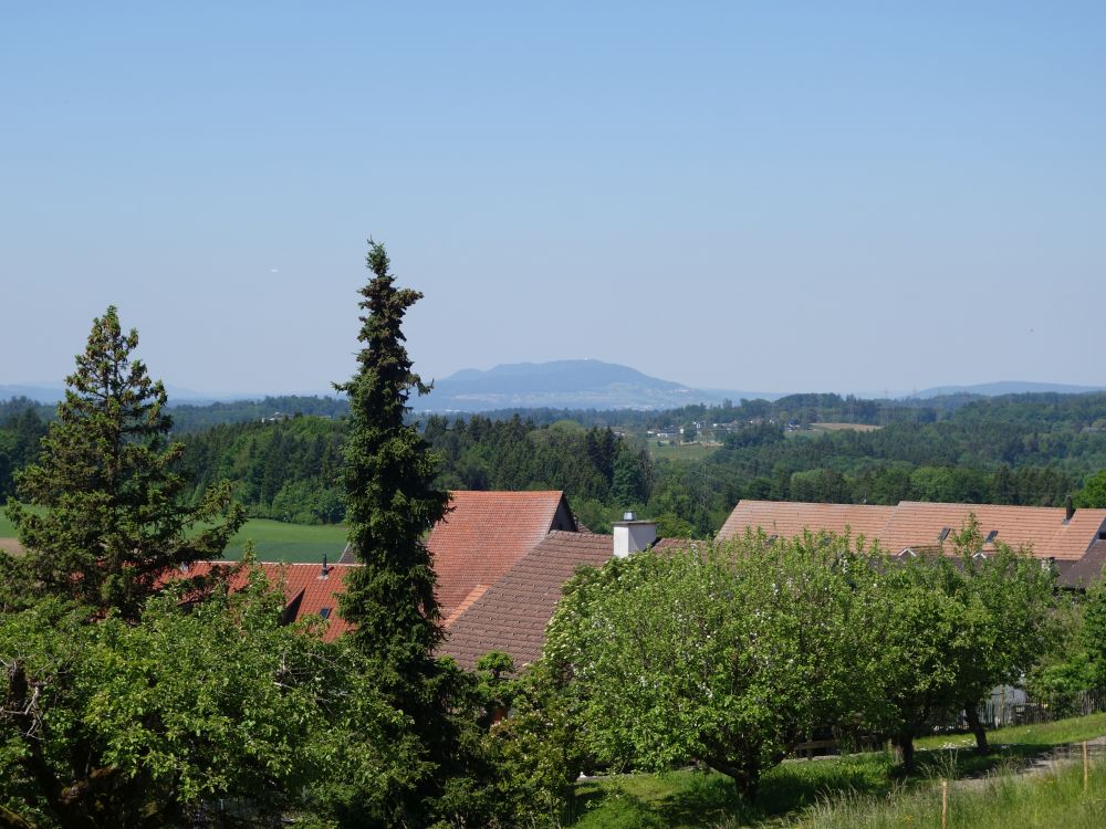 Blick Richtung Lägeren