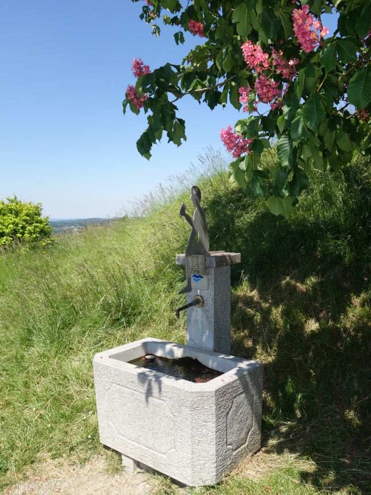 Brunnen unterm Kastanienbaum