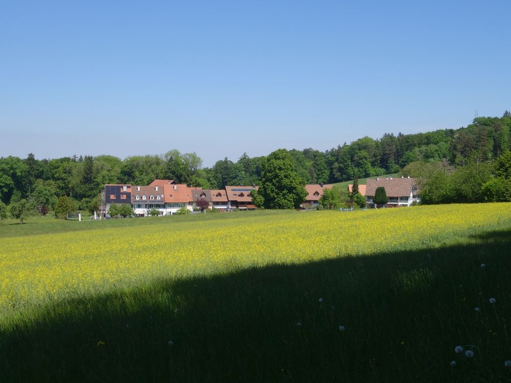 Billikon
