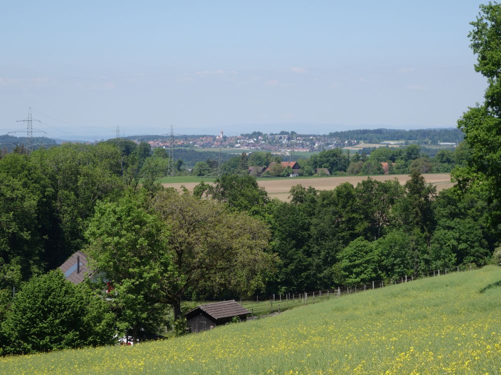 Blick Richtung Brütten