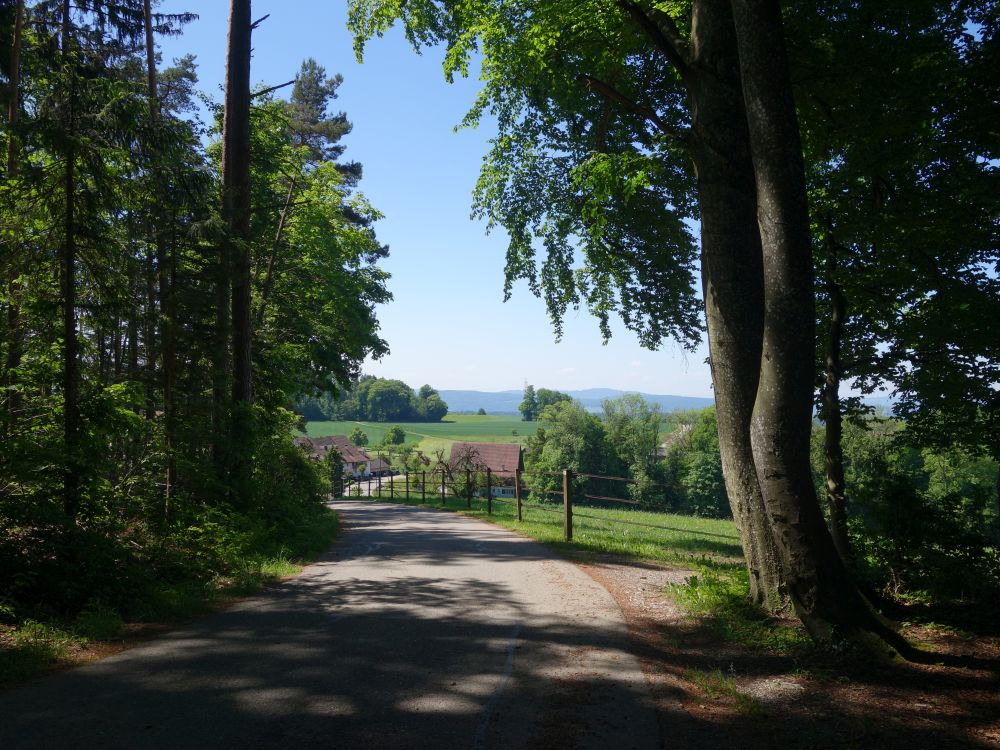 Haldenstrasse bei Billikon