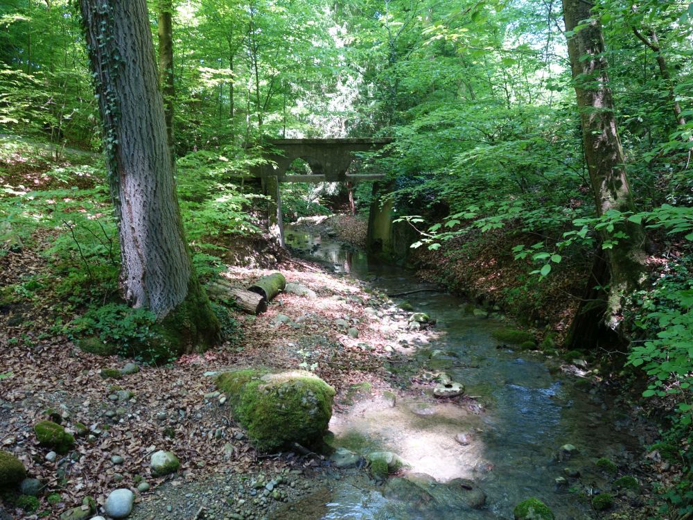 Chuppenacherbach