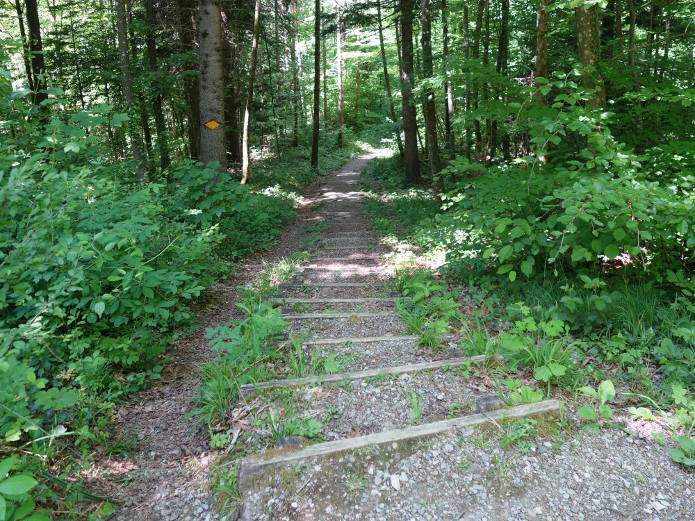 Treppe
