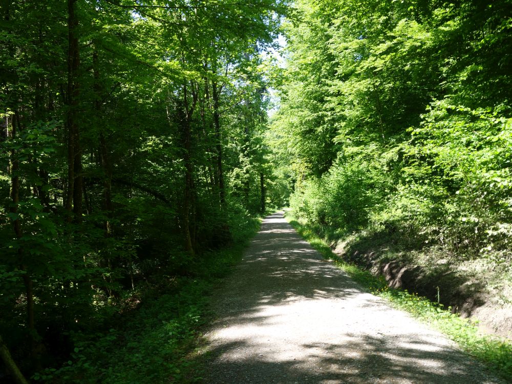 Niesenbergstrasse