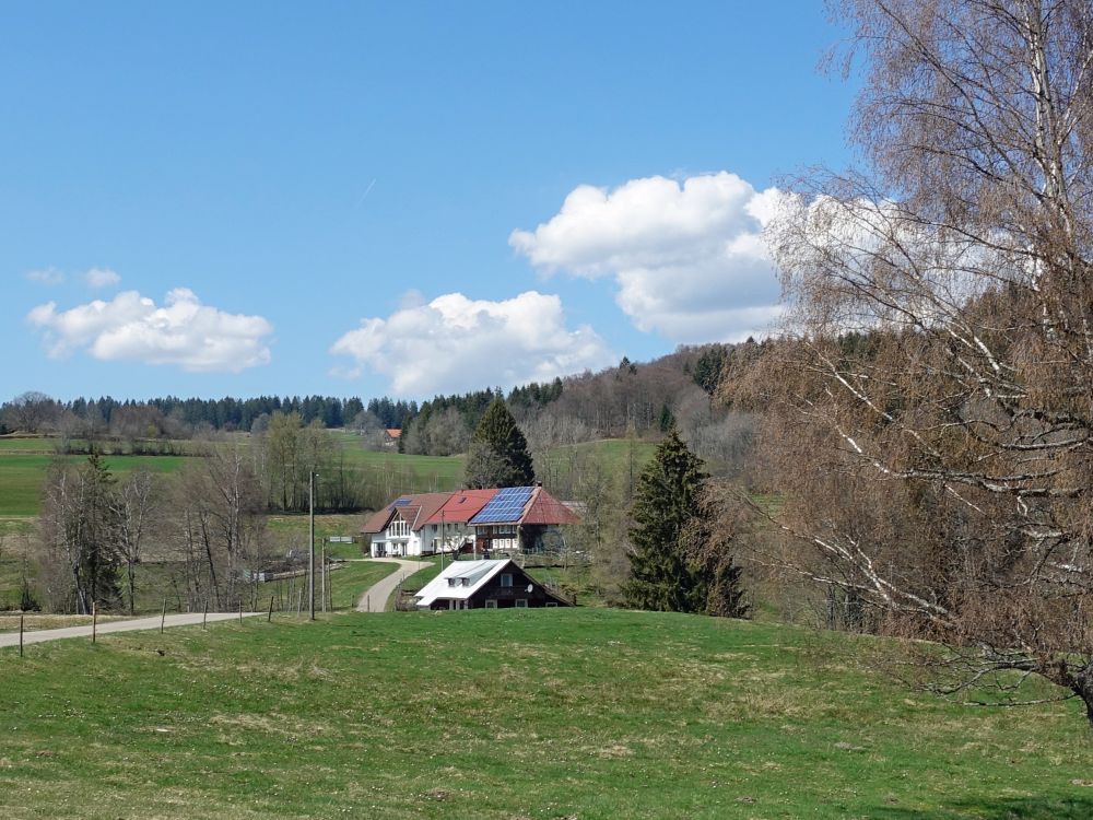 Bauernhof in Wittenschwand