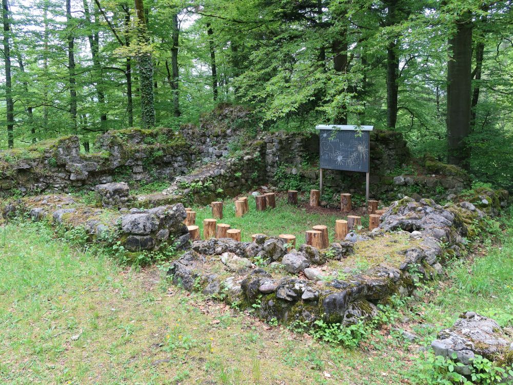 Ruine Burg Rüdberg