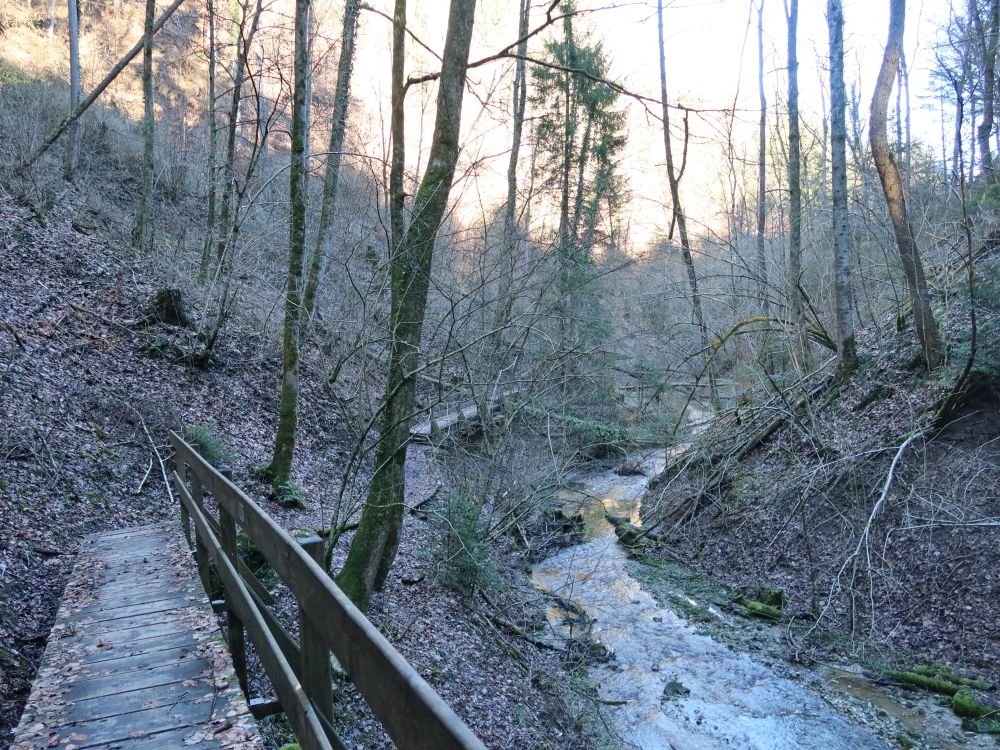 Holzsteg am Giessenbach