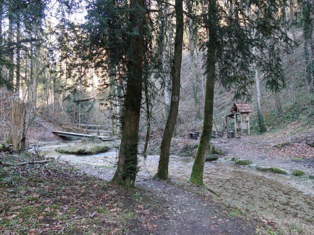 Steg und Feuerstelle am Giessenbach