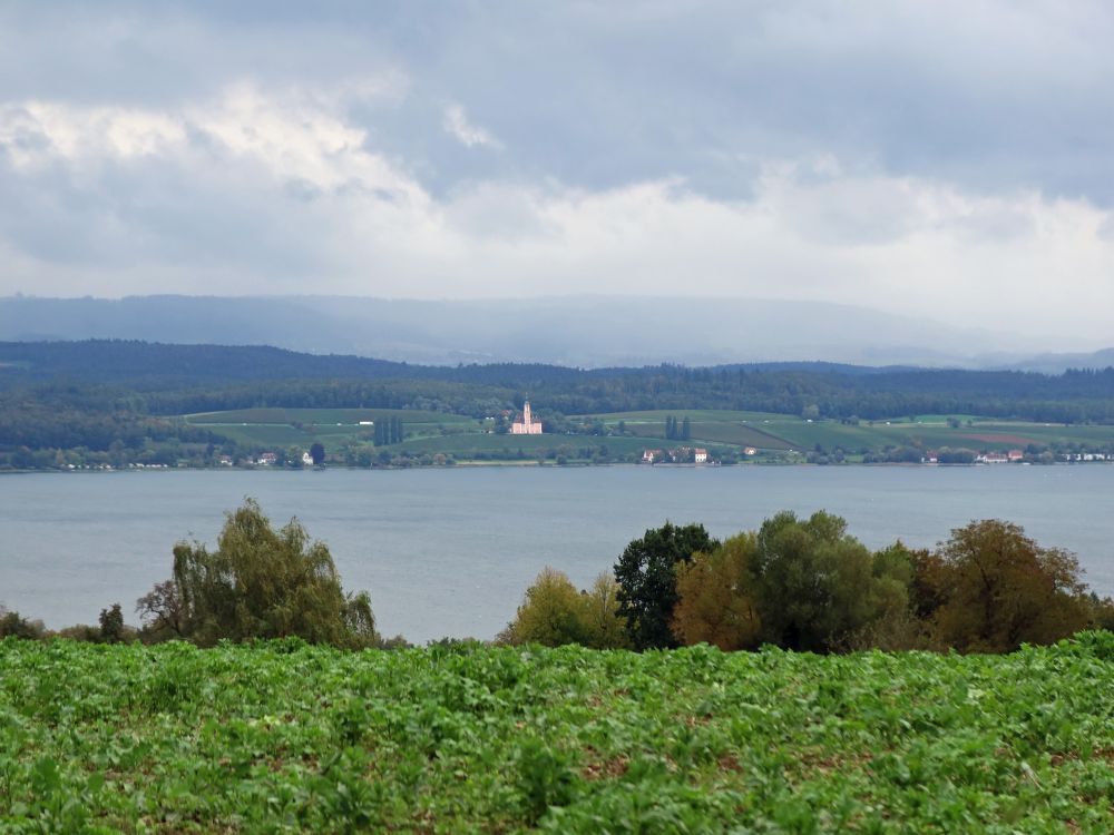 Blick Richtung Birnau