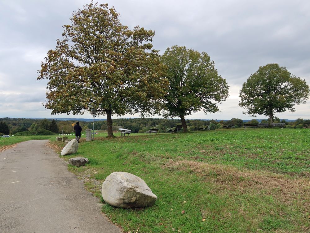 Stein und Bäume am Purren