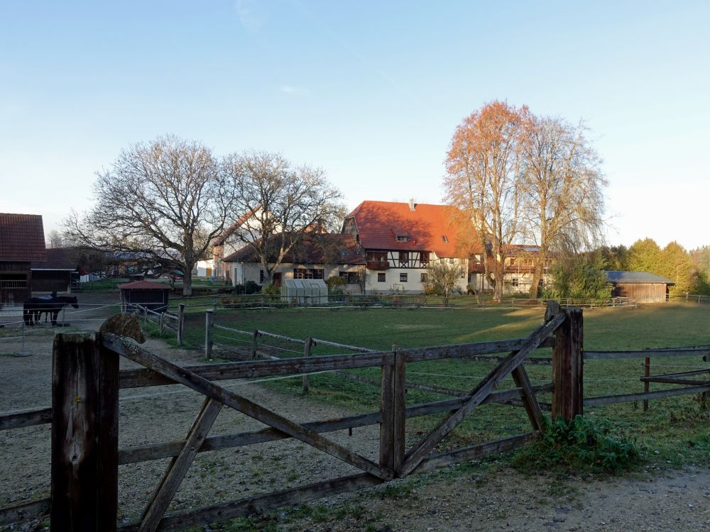 Gundelhof