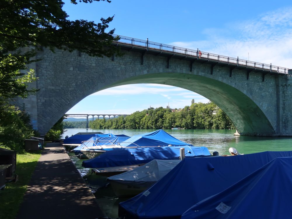 Rheinbrücke und Eisenbahnviadukt