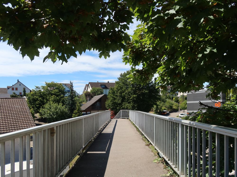 Wanderweg über Strassenbrücke