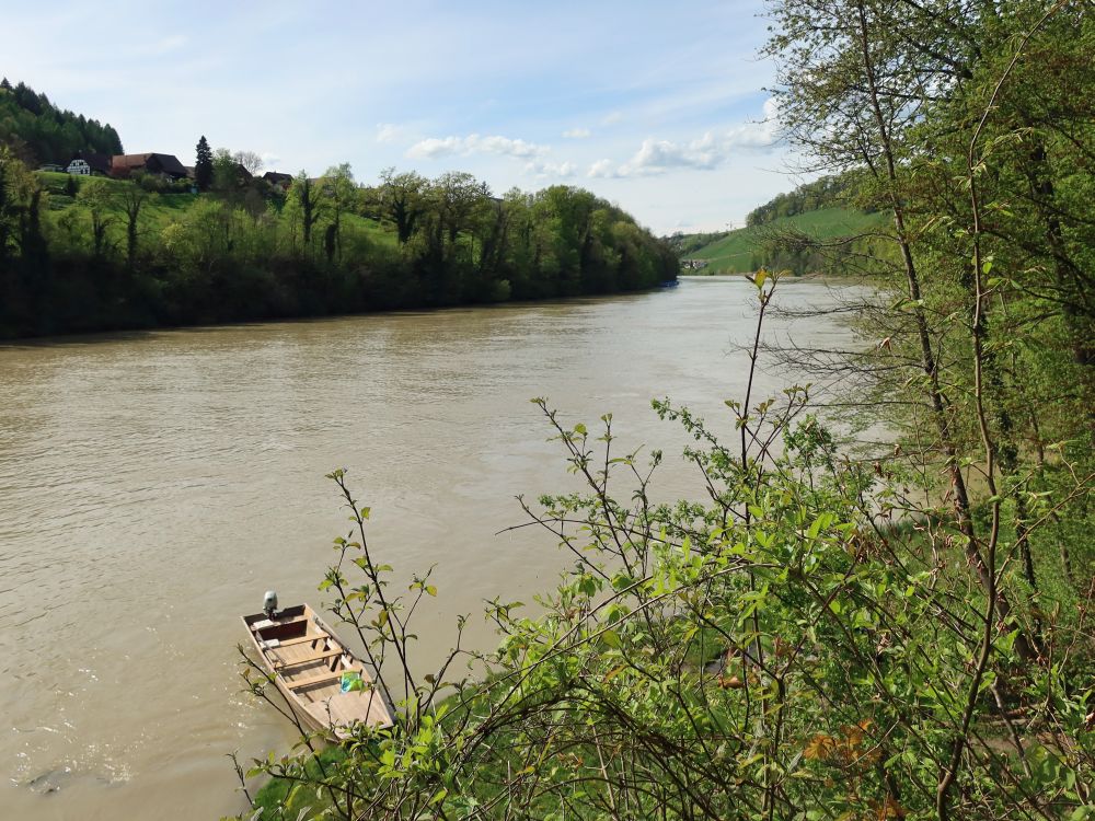 Boot am Rheinufer