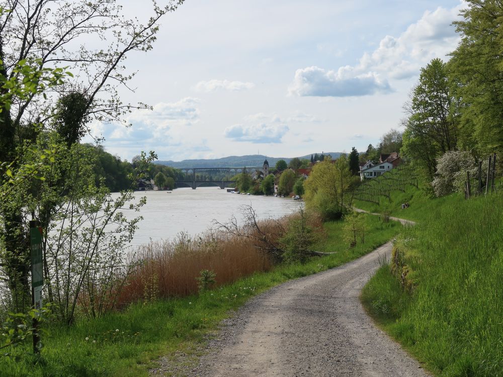 Blick auf Rheinbrücken von Eglisau