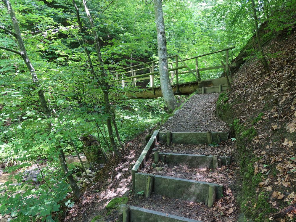 Treppe und Holzsteg