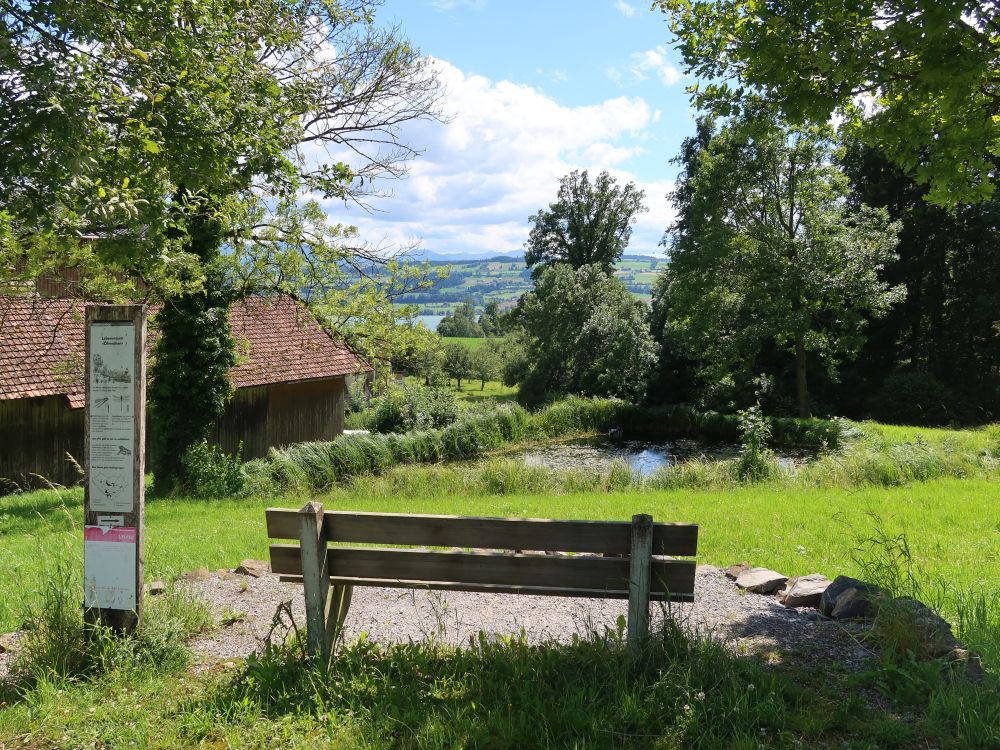 Sitzbank und Teich