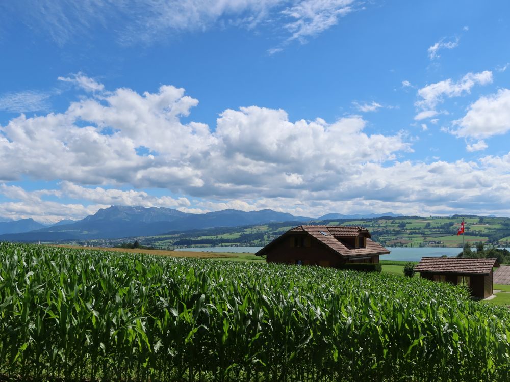 Pilatus und Sempachersee