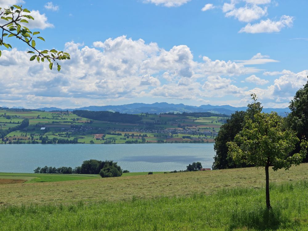 Sempachersee