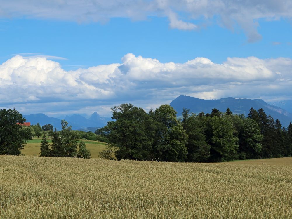 Mythen und Rigi