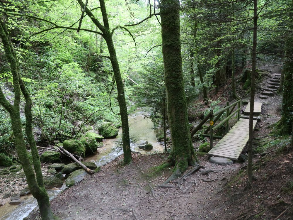 Holzsteg am Rotbach