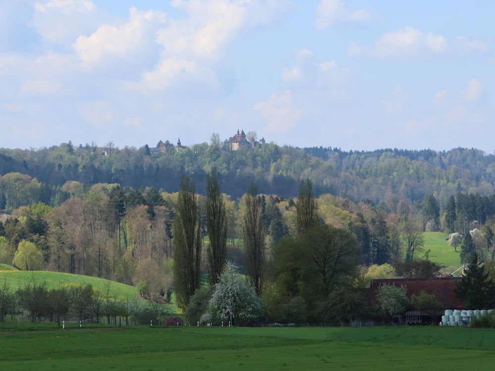 Blick Richtung Kyburg