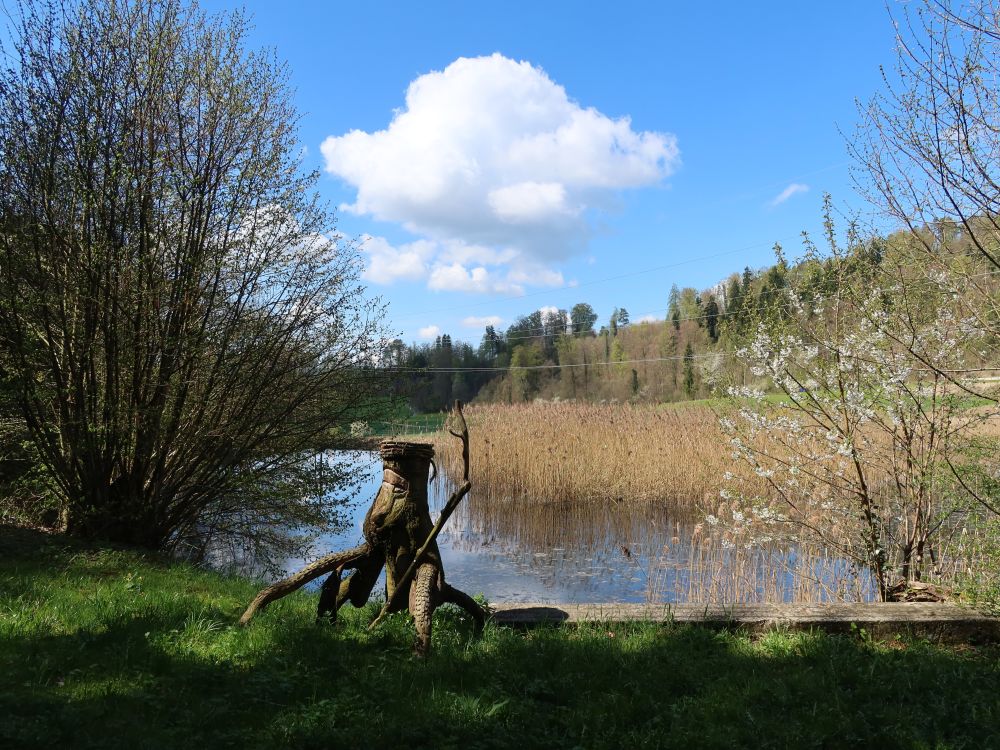 Weiher am Bolsternbach