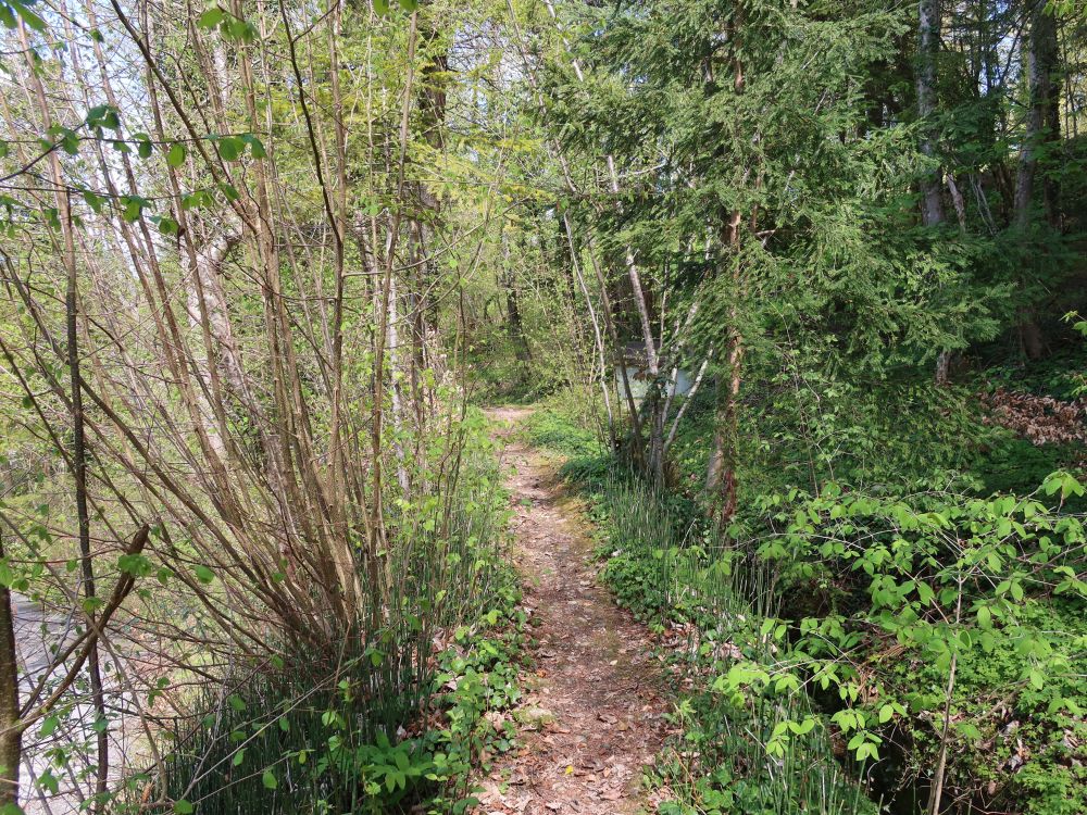 Pfad an der Waltensteiner Eulach