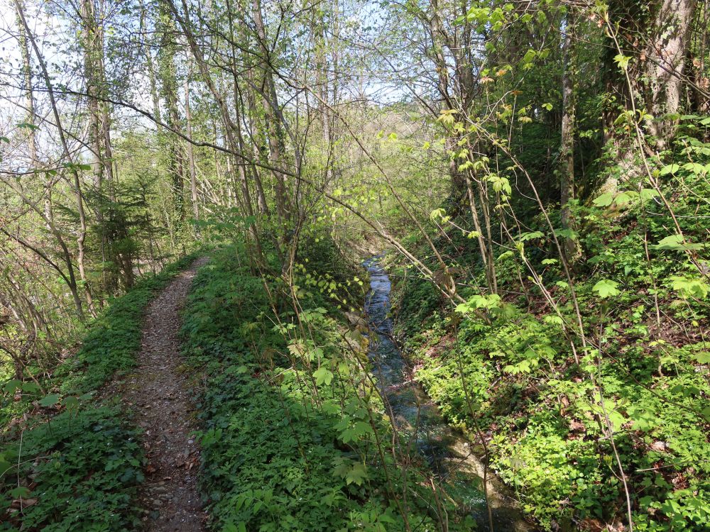 Pfad an der Waltensteiner Eulach