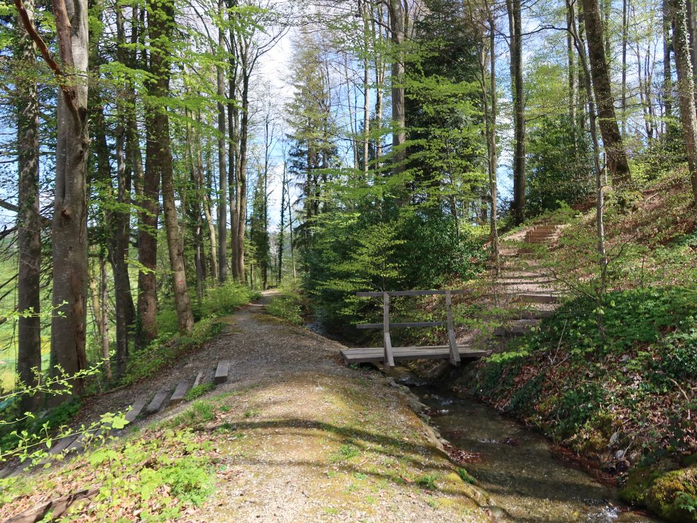 Pfad an der Waltensteiner Eulach