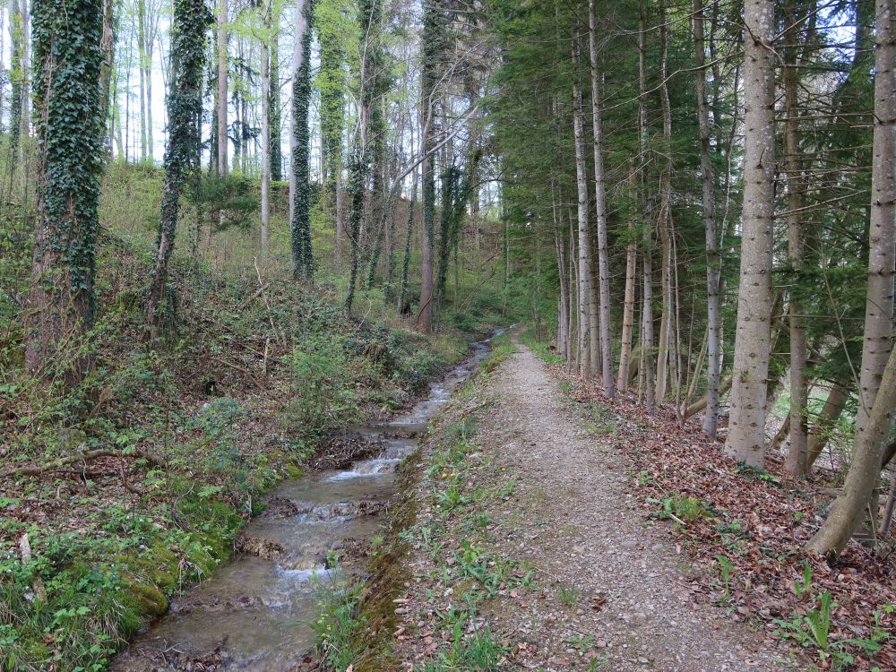 Pfad an der Waltensteiner Eulach