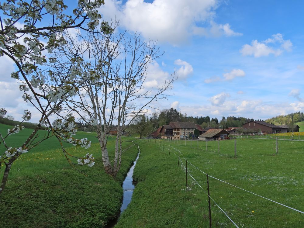 Waltensteiner Eulach und Jakobstal