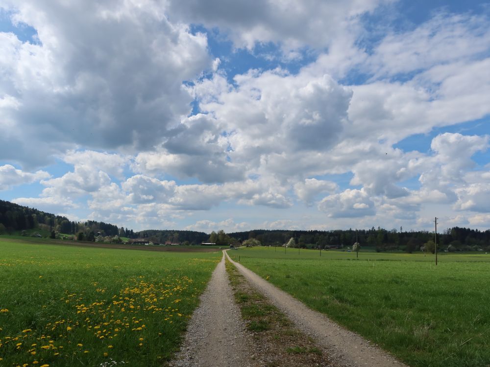 langer Weg nach Maas