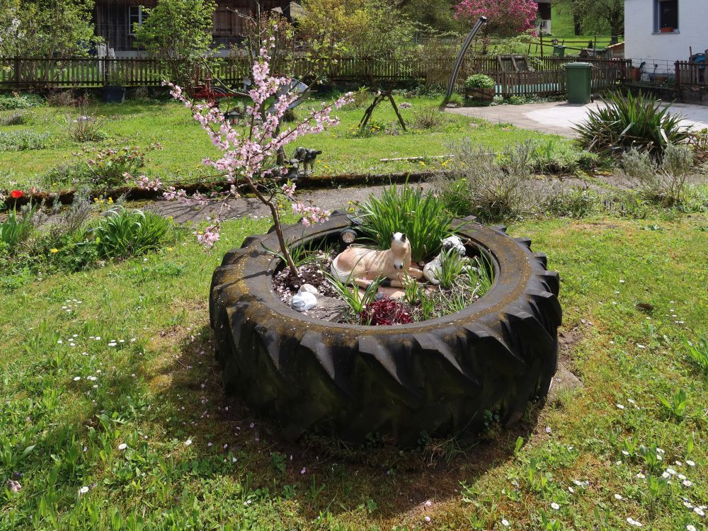 Deko im Traktorreiden