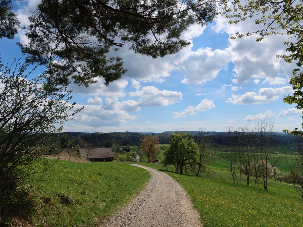 Hulmenweg bei Eidberg