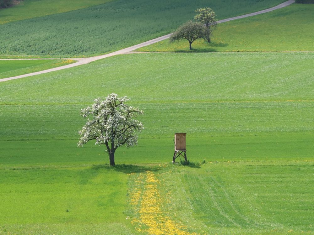 Jägerstand auf grünen Wiesen