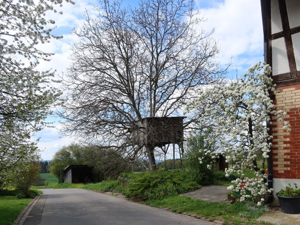 Baumhütte