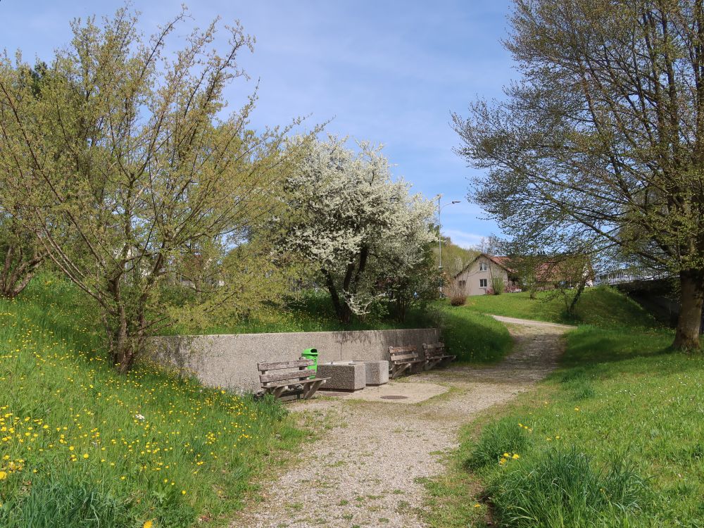Sitzbänke an der Stutzstrasse